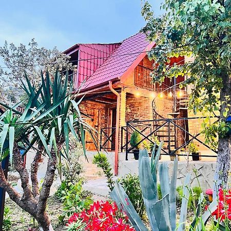 Sunshine House Villa Kutaisi Ngoại thất bức ảnh