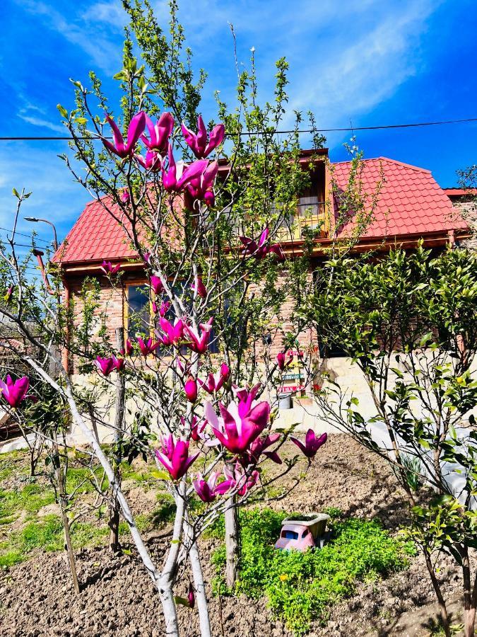 Sunshine House Villa Kutaisi Ngoại thất bức ảnh