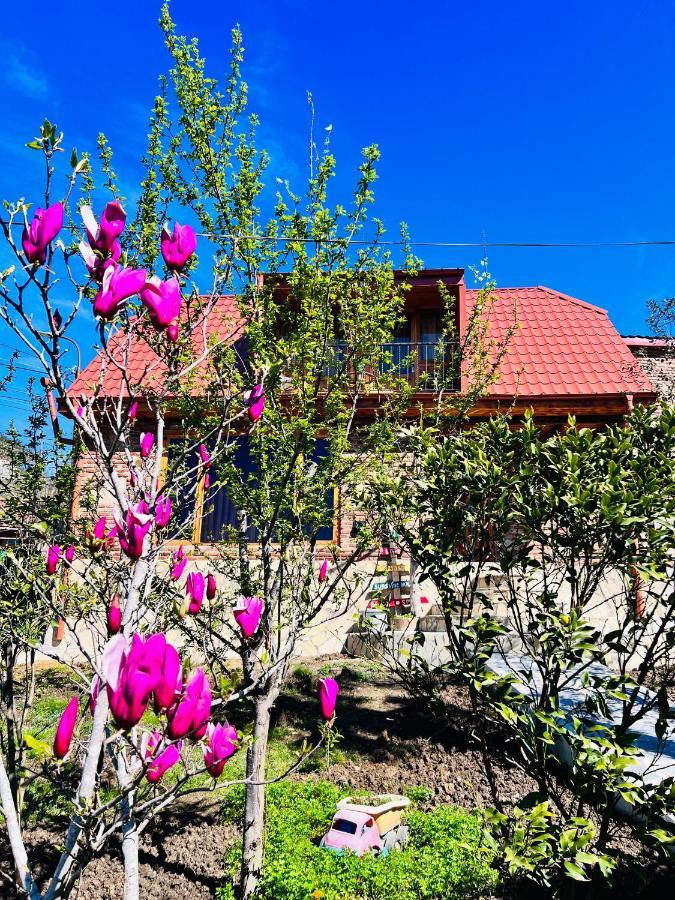 Sunshine House Villa Kutaisi Ngoại thất bức ảnh