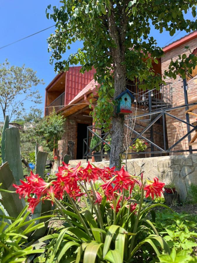 Sunshine House Villa Kutaisi Ngoại thất bức ảnh