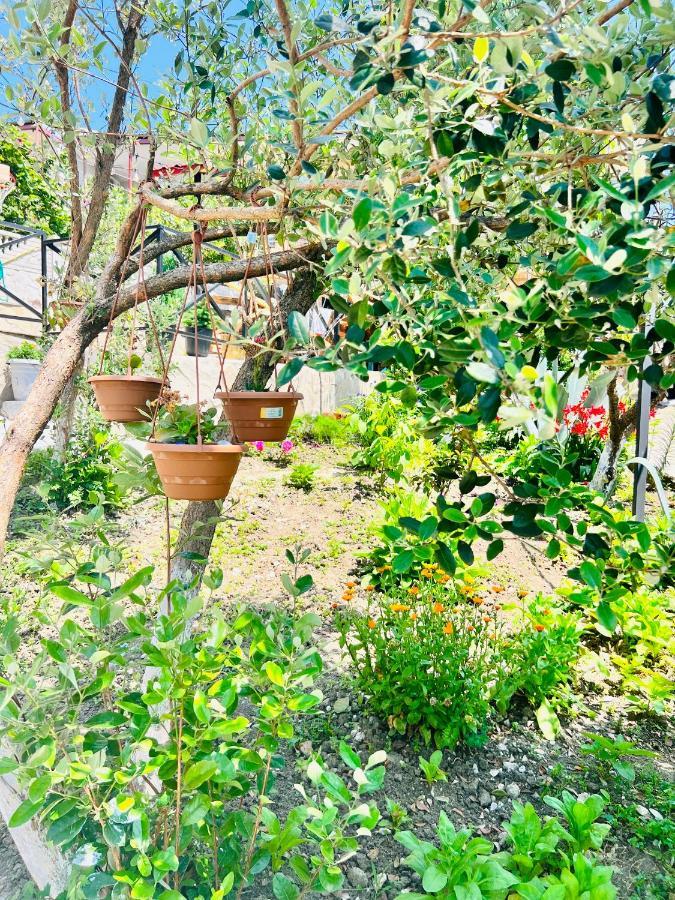 Sunshine House Villa Kutaisi Ngoại thất bức ảnh
