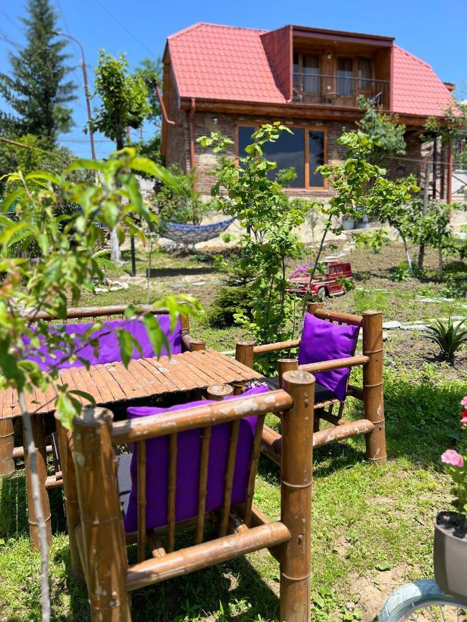 Sunshine House Villa Kutaisi Ngoại thất bức ảnh