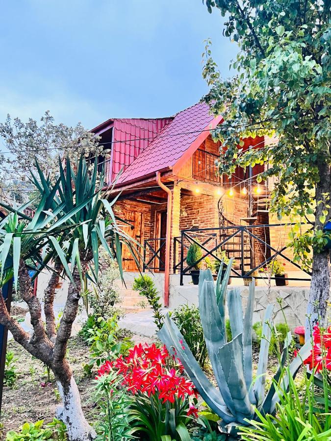 Sunshine House Villa Kutaisi Ngoại thất bức ảnh