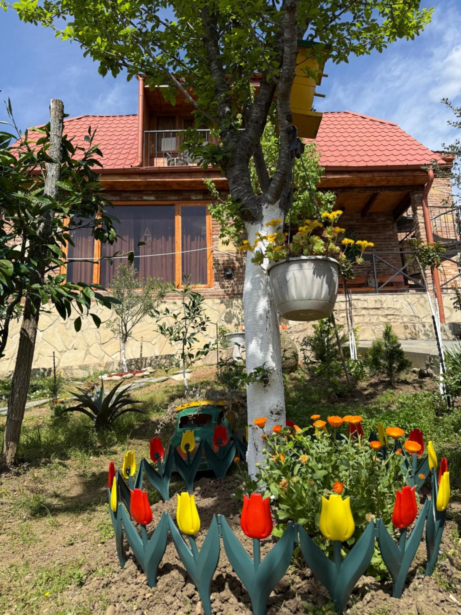 Sunshine House Villa Kutaisi Ngoại thất bức ảnh